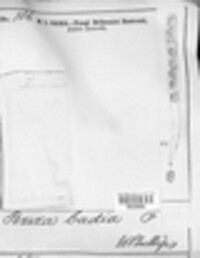 Legaliana badia image